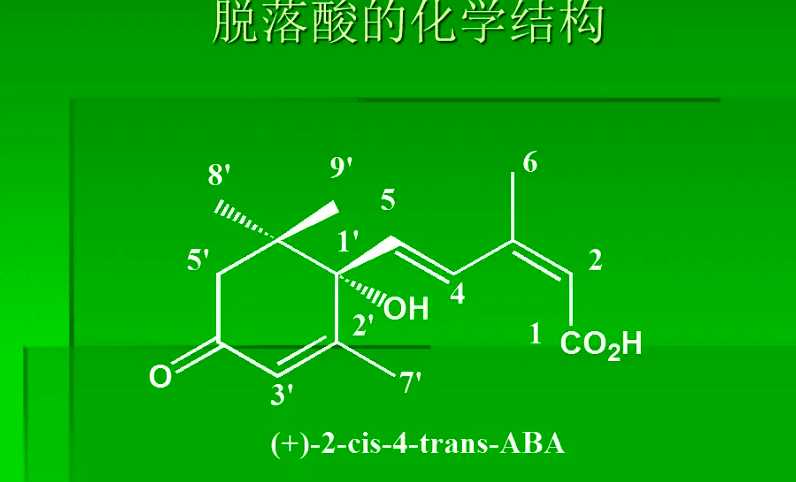 脫落酸的作用和使用方法（脫落酸的作用機(jī)制和原理介紹）